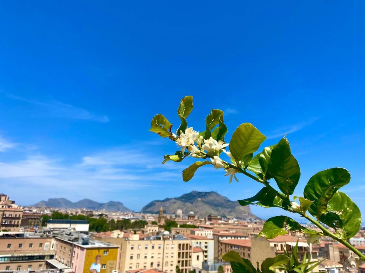 Lealbe Di Sicilia Bed & Breakfast Palermo Exterior photo